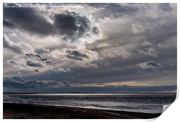 Six Greylag geese fly over the North Norfolk coast. Print by Peter Jones