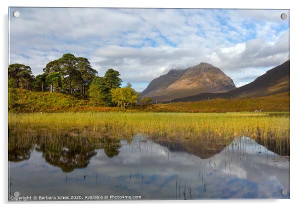 Loch Clair and Liathach  Glen Torridon Scotland Acrylic by Barbara Jones