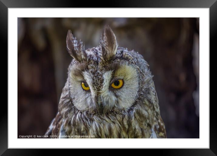 Eagle owl Framed Mounted Print by kevin cook