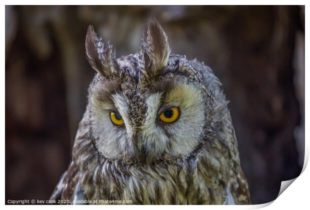 Eagle owl Print by kevin cook