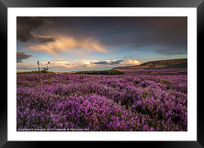 Heather Framed Mounted Print by kevin cook