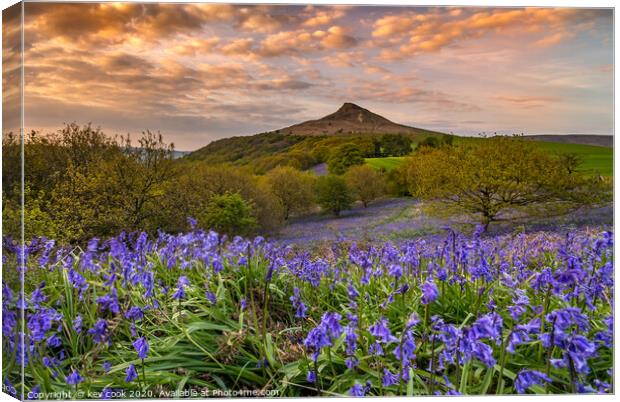 Bluebells at Roseberry topping Canvas Print by kevin cook