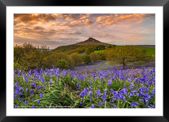 Bluebells at Roseberry topping Framed Mounted Print by kevin cook