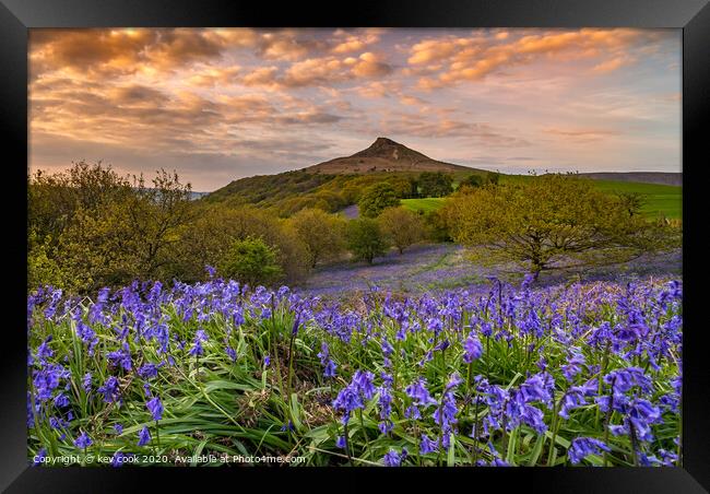 Bluebells at Roseberry topping Framed Print by kevin cook