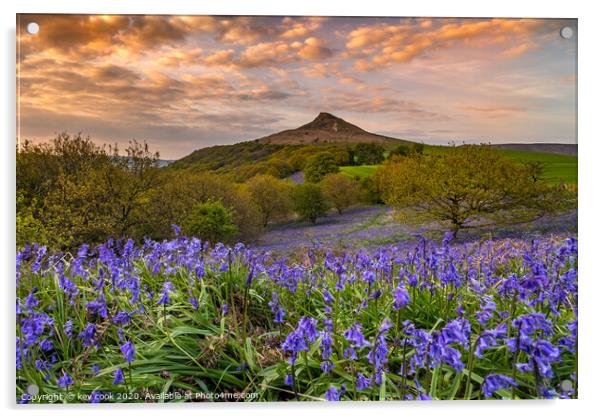 Bluebells at Roseberry topping Acrylic by kevin cook