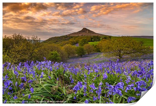 Bluebells at Roseberry topping Print by kevin cook