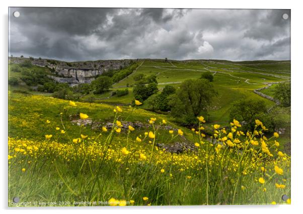 Malham cove Acrylic by kevin cook