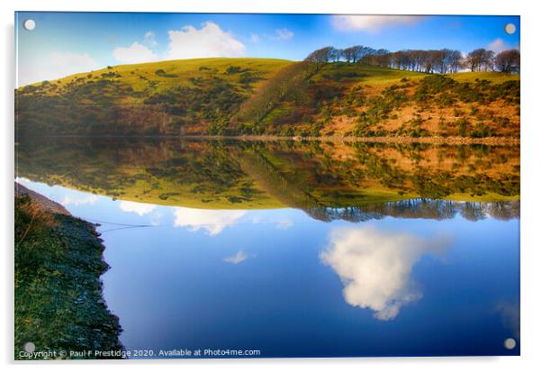 Meldon Reservoir, Dartmoor Acrylic by Paul F Prestidge