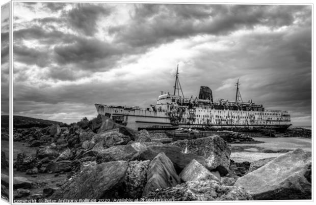 Duke of Lancaster Canvas Print by Peter Anthony Rollings