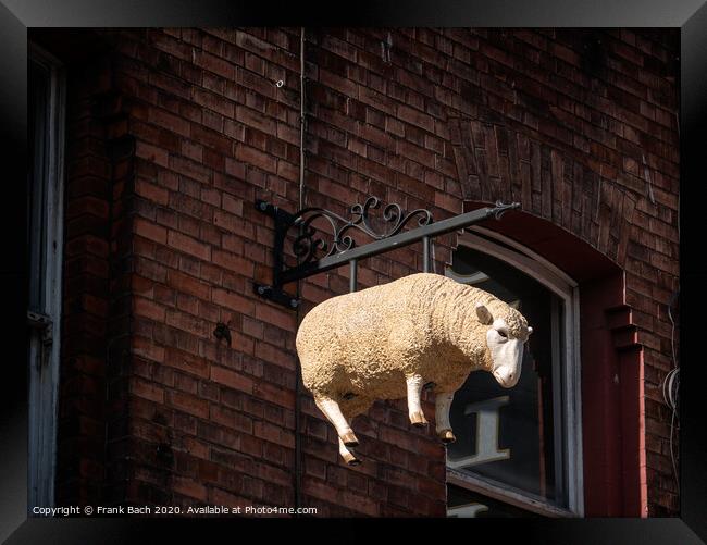 Butchers lamb sign in the streets of Dublin, Ireland Framed Print by Frank Bach