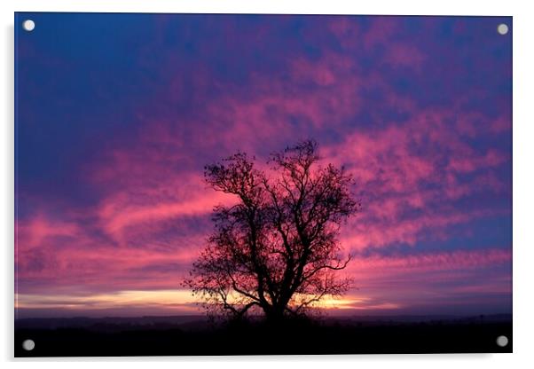 Cotswold dawn Acrylic by Simon Johnson
