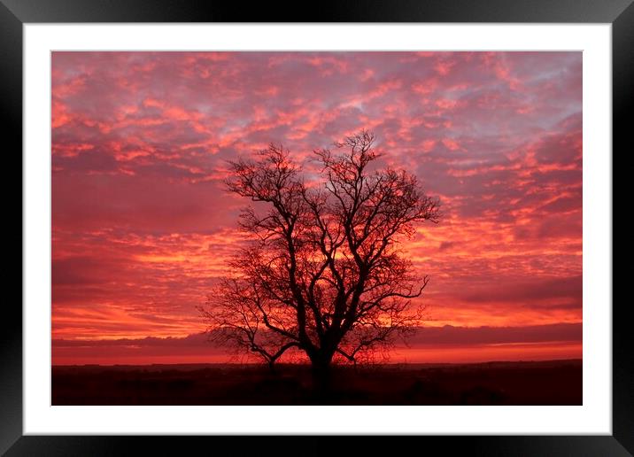 Cotswold sunrise Framed Mounted Print by Simon Johnson