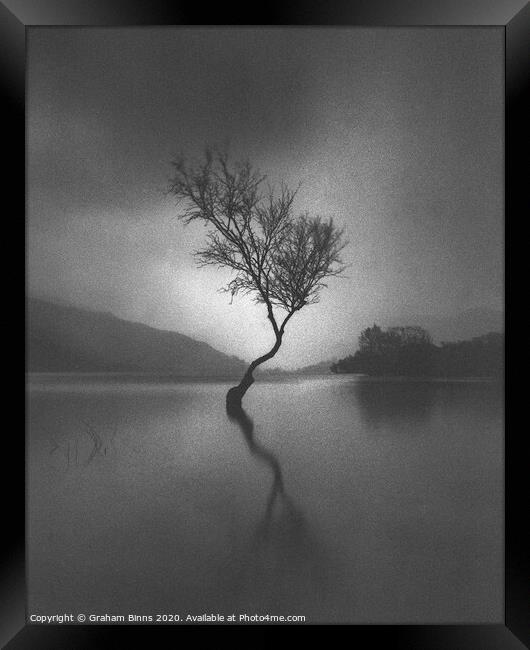 Llanberis Lone Tree, Llyn Padarn Caernarfon Wales Framed Print by Graham Binns