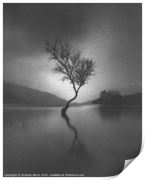 Llanberis Lone Tree, Llyn Padarn Caernarfon Wales Print by Graham Binns