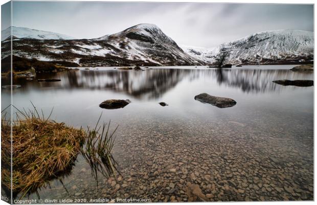 Loch Skeen, Dumfries and Galloway Canvas Print by Gavin Liddle