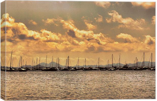 Boats at Rest Canvas Print by Jacqui Kilcoyne