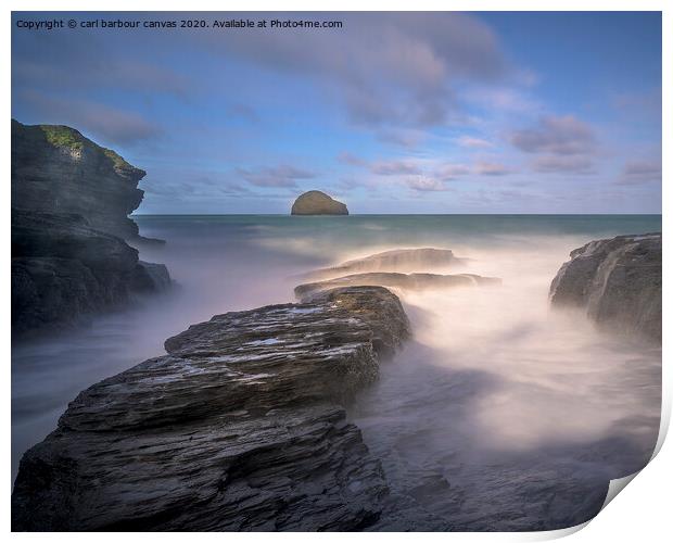 Gull Rock Print by carl barbour canvas