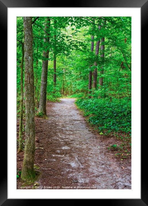 Dirt Trail Through Trees Framed Mounted Print by Darryl Brooks
