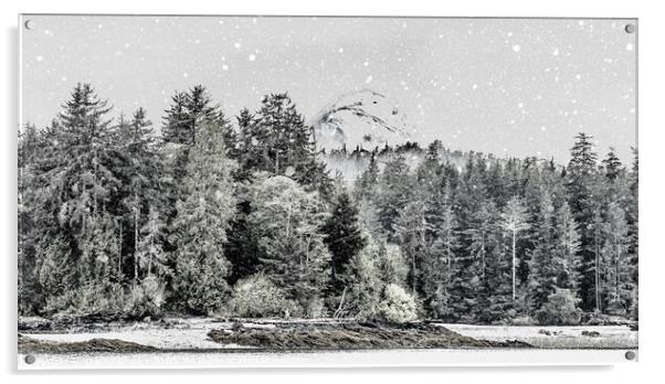 Trees on Shore of Alaska Snow Acrylic by Darryl Brooks