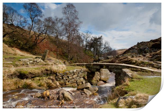 Bronte Bridge - Haworth Yorkshire  Print by David Tomlinson