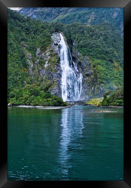 Lady Bowen Falls, Milford Sound, New Zealand Framed Print by Steven Ralser