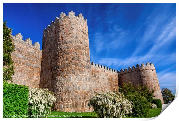 Avila Turrets Castle Walls Cityscape Castile Spain Print by William Perry