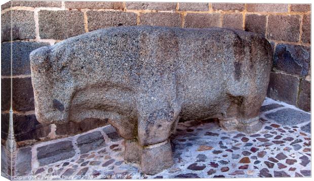 Ancient Stone Bull Statue Avila Castile Spain Canvas Print by William Perry