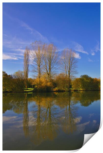 Trees In Autumn Reflections Print by Jeremy Hayden