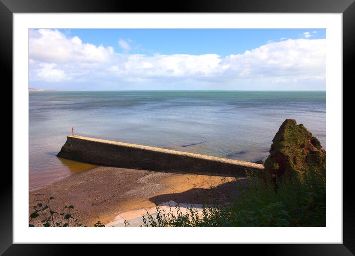 Dawlish Sea View Framed Mounted Print by Jeremy Hayden