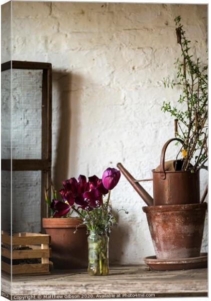 Beautiful old vintage English countryside garden potting shed interior detail Canvas Print by Matthew Gibson