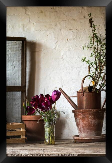 Beautiful old vintage English countryside garden potting shed interior detail Framed Print by Matthew Gibson