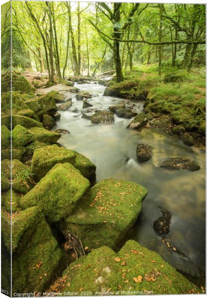 Beautiful landscape of river flowing through lush forest Golitha Falls in England Canvas Print by Matthew Gibson