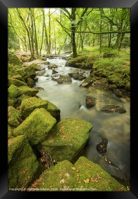 Beautiful landscape of river flowing through lush forest Golitha Falls in England Framed Print by Matthew Gibson