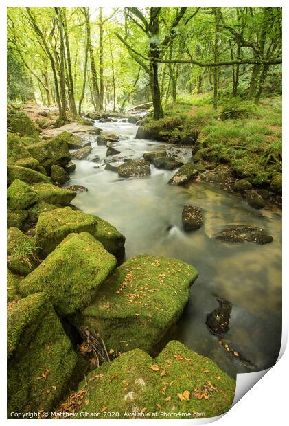 Beautiful landscape of river flowing through lush forest Golitha Falls in England Print by Matthew Gibson