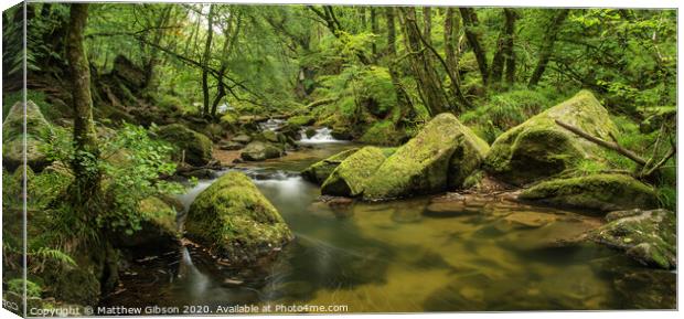 Beautiful landscape of river flowing through lush forest Golitha Falls in England Canvas Print by Matthew Gibson