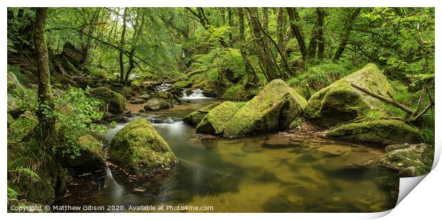 Beautiful landscape of river flowing through lush forest Golitha Falls in England Print by Matthew Gibson