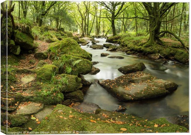 Stunning landscape iamge of river flowing through lush green forest in Summer Canvas Print by Matthew Gibson