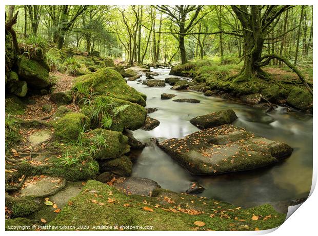 Stunning landscape iamge of river flowing through lush green forest in Summer Print by Matthew Gibson