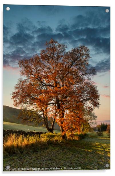 Stunning vibrant Autumn Fall landscape of countryside in Lake District with lovely golden light on trees and hills Acrylic by Matthew Gibson