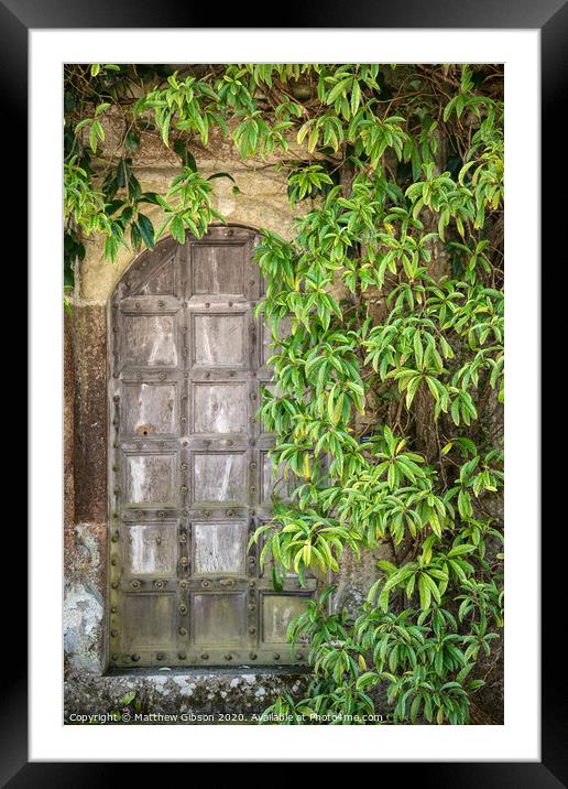 Beautiful vintage Victorian mansion entrance door surrounded by plants and tree Framed Mounted Print by Matthew Gibson