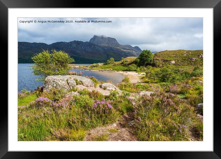 Purple heather along shoreline of Loch Maree Framed Mounted Print by Angus McComiskey