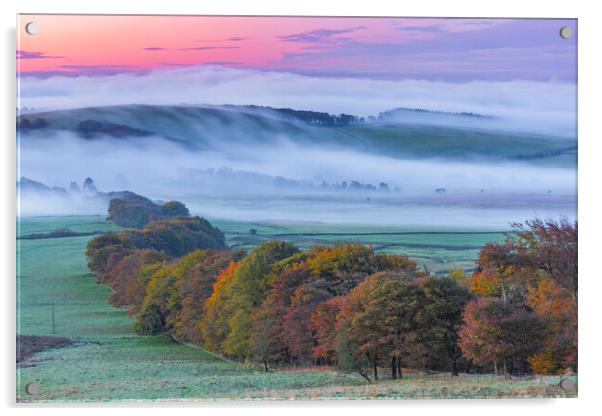 Dreamy autumn landscape Acrylic by John Finney