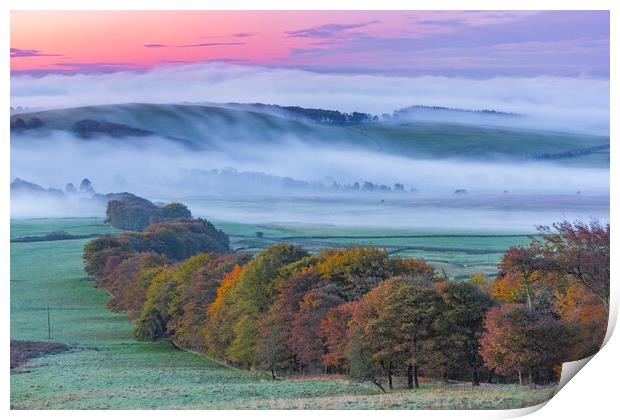 Dreamy autumn landscape Print by John Finney