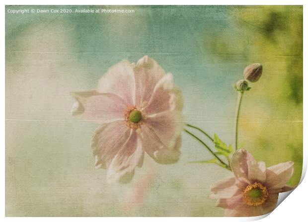 pink flower Print by Dawn Cox