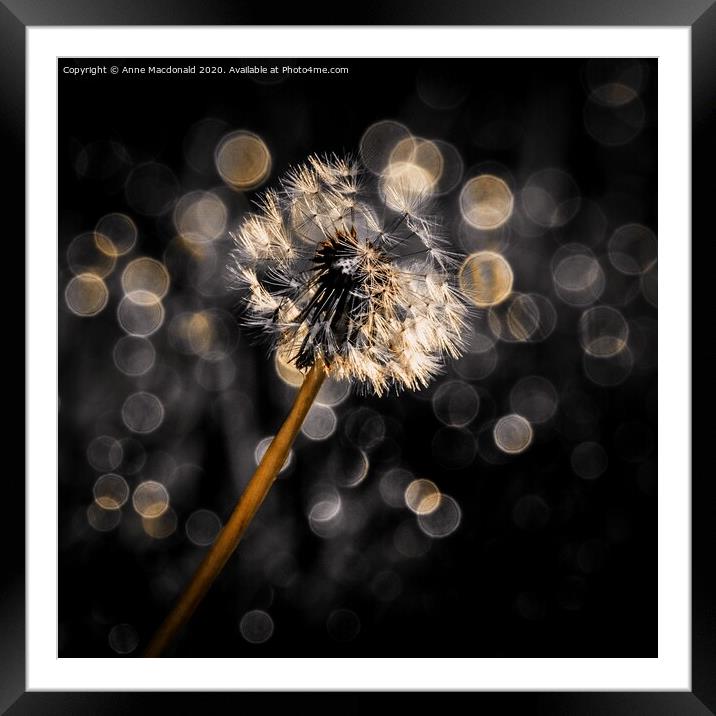 Dandelion Clock In The Sun Framed Mounted Print by Anne Macdonald