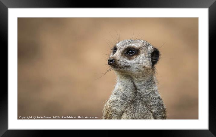 The Lookout Framed Mounted Print by Pete Evans