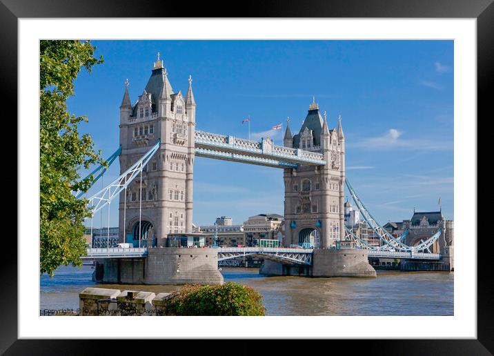 Iconic Tower Bridge Bathed in Sunlight Framed Mounted Print by David Tyrer