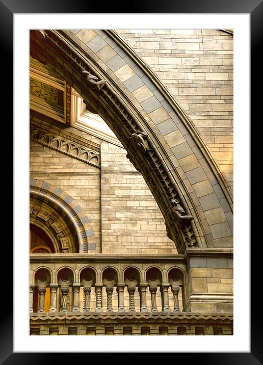 Natural History Museum Kensington Framed Mounted Print by David French
