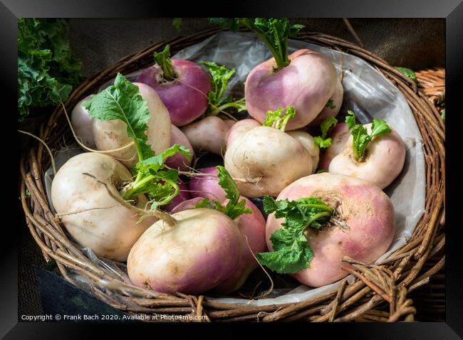Fresh turnips in a basket Framed Print by Frank Bach