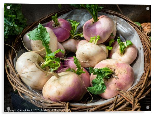 Fresh turnips in a basket Acrylic by Frank Bach